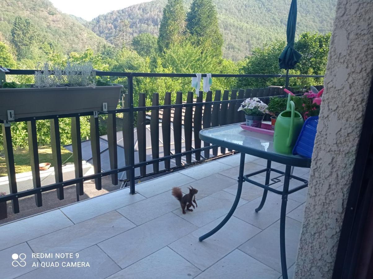 Bed and Breakfast Les Ecureuils Revin  Экстерьер фото
